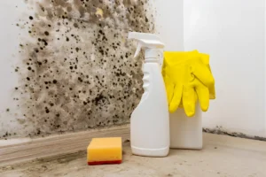 کپک زدن کابینت ام دی اف | دلایل، پیشگیری و راهحلهای قطعی