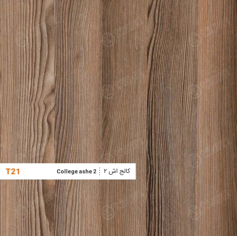 ورق ام دی اف T21 تیسان کالج اش2 (College ash 2)